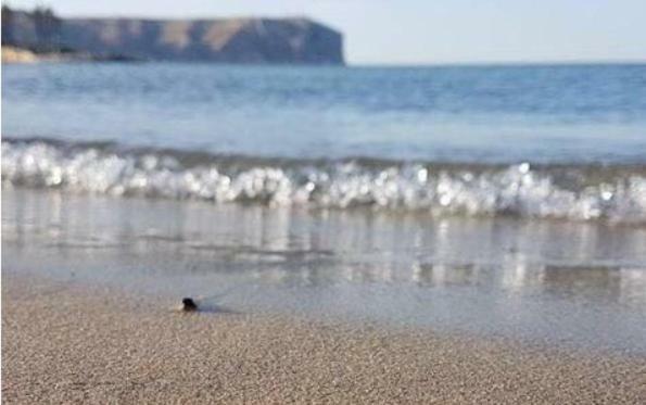 Acogedor Y Precioso Atico En Javea Primera Linea Playa Extérieur photo